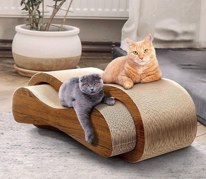 a two-piece lounger featuring two cats comfortably resting on it
