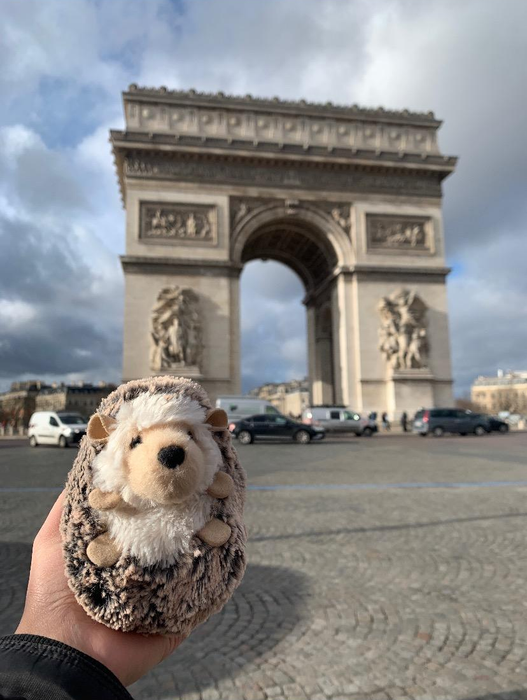 The reviewer’s plush hedgehog accompanying them on a trip to Paris