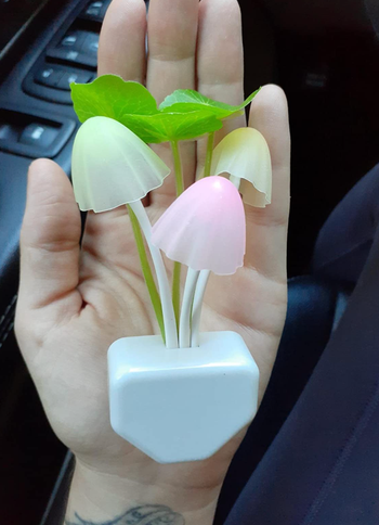 A reviewer holding a white plug with pastel mushrooms and leaves sprouting from it