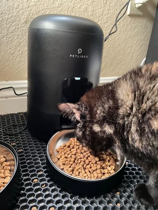 a reviewer’s cat enjoying a meal from a bowl placed beneath a sleek black automatic pet feeder