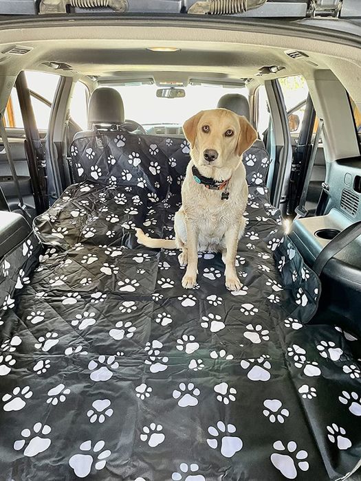 a reviewer's big dog sitting in a car with the backseats folded down, covered by a black liner featuring white paw prints