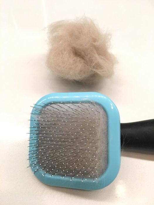 a blue square paddle slicker brush alongside a pile of cat hair it effectively removed