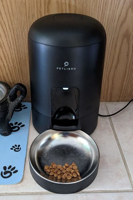 a reviewer’s compact black cylindrical feeder positioned in front of a feeding bowl