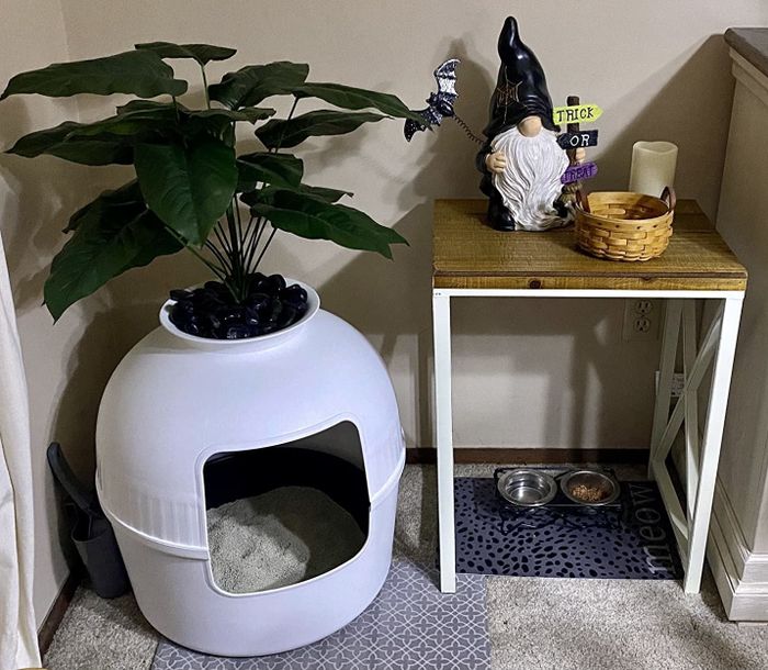 the litter box neatly housed inside the large white planter