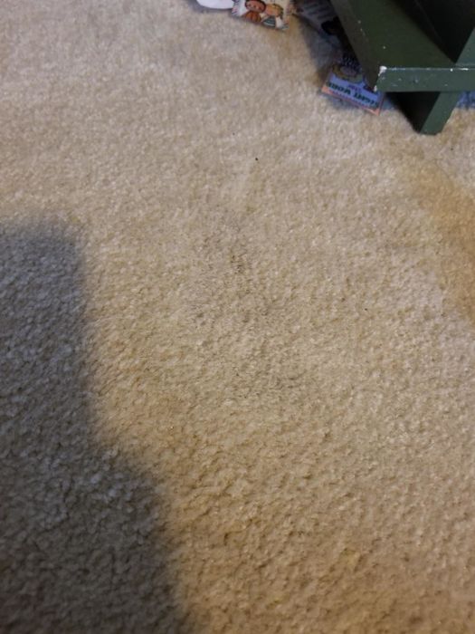 Beige carpet after using the spray, now free of the stain.