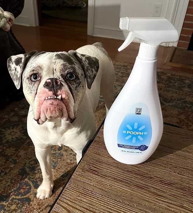 A photo shared by a reviewer showing the bottle placed beside their dog.