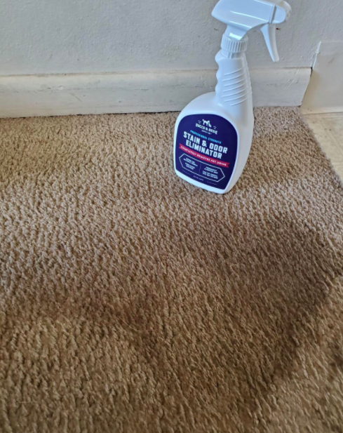 A before photo of a carpet that appears dirty and stained.