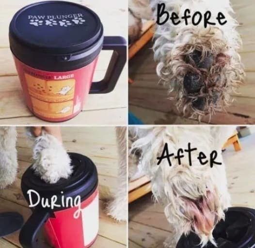 A before, during, and after photo set showing a dog's dirty paw being dipped into the paw cleaner, with the paw completely clean after use.