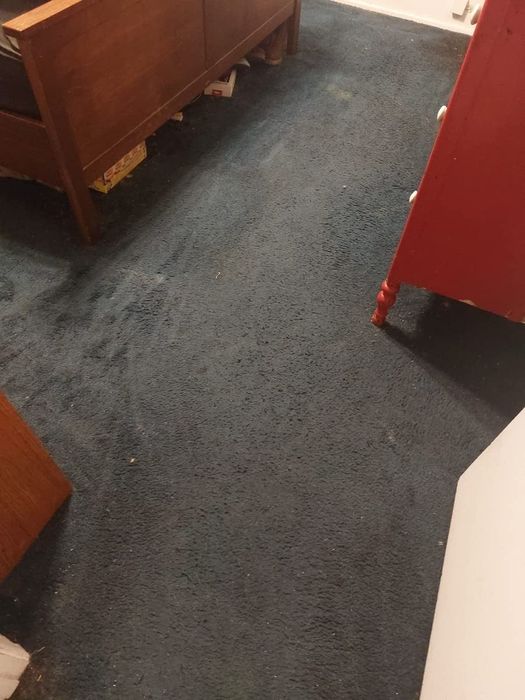 the same carpet after using the sweeper, now looking much cleaner