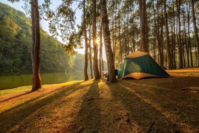 ภาพ : istock