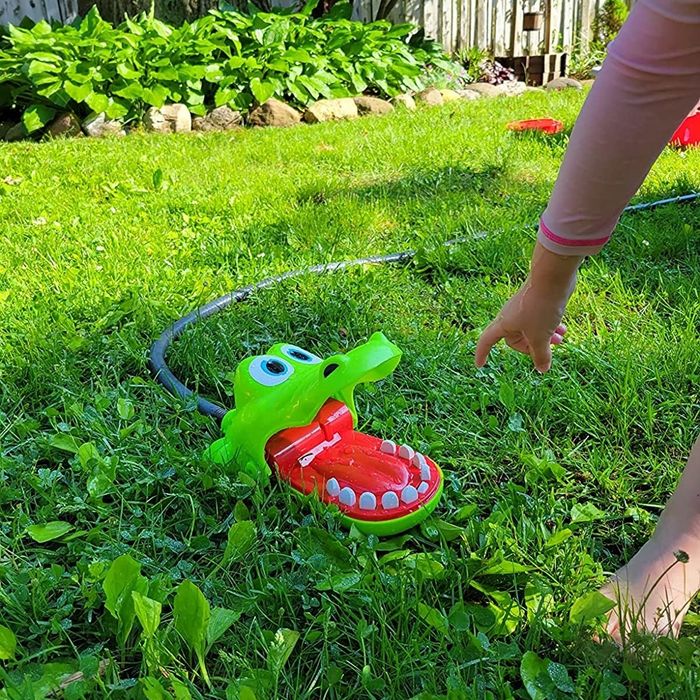 Reviewer's photo of a crocodile toy set up on the lawn, connected to a hose