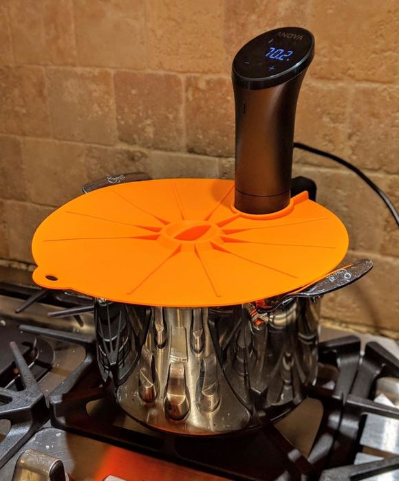 Image of a reviewer using the precision cooker