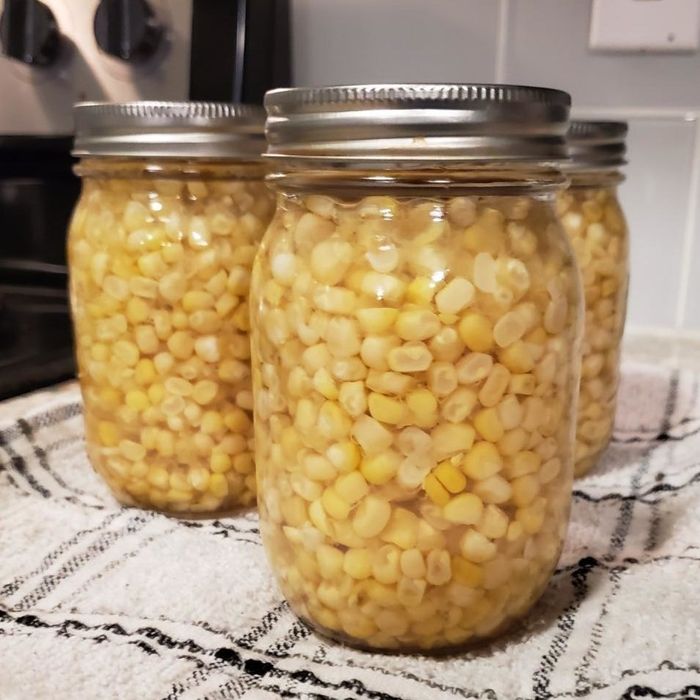 A reviewer's image of freshly separated corn kernels.