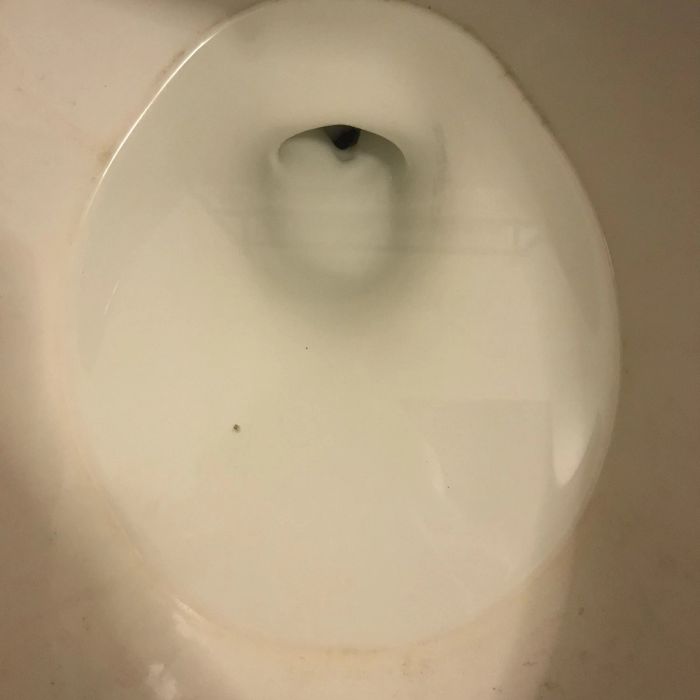 Photo of a toilet with visible hard water stains and a dirty ring