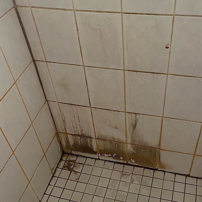 Photo from a reviewer displaying a shower corner with noticeable mold and stains on tiles and grout