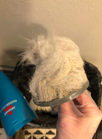 A hand holds a large wad of dog hair that was vacuumed up by the same lightweight vacuum.