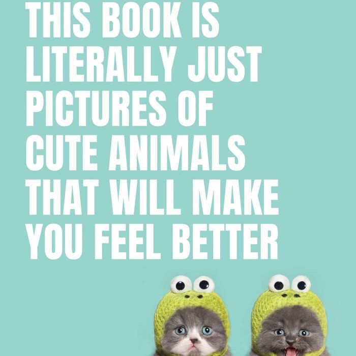 book cover featuring two kittens wearing frog hats
