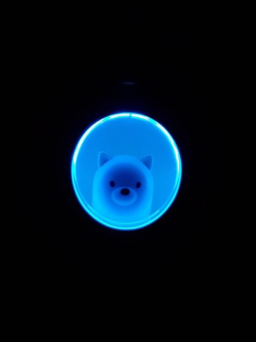 The humidifier, seen in the dark, glows with a blue light illuminating the window and revealing the dog inside.