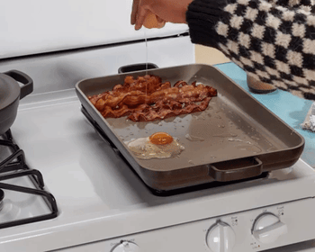A gif showing the pan in action
