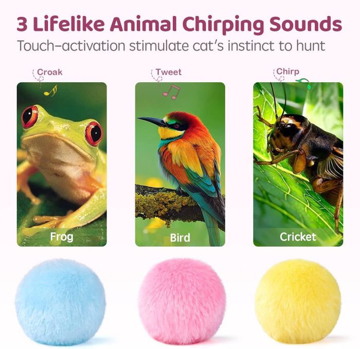 The trio of chirping toys in blue, pink, and yellow, mimicking the sounds of frogs, birds, and crickets respectively