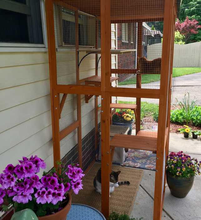 The brown wooden catio decorated with plants and cats inside