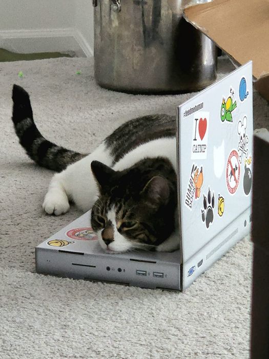 A cat lounging on a laptop-shaped scratching pad.