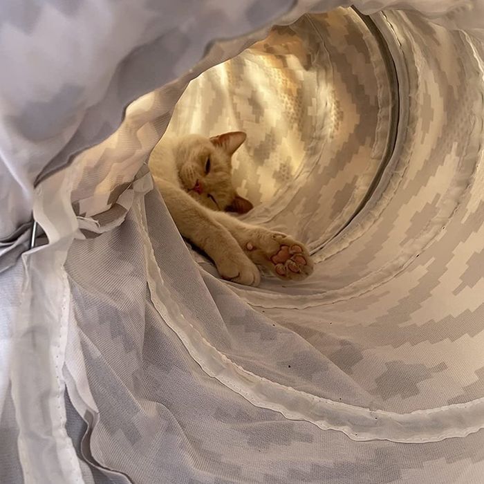 A cat peacefully dozing off inside the cozy tunnel bed.