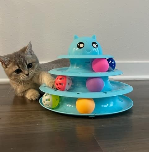 A photo of a cat lying on its side, enjoying a playful session with the ball tower.
