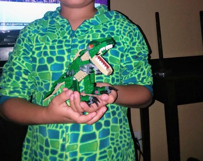 a child wearing a dinosaur-themed shirt, holding a toy dinosaur, likely for imaginative play or collection purposes
