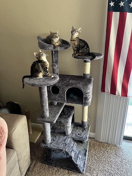 Another reviewer’s kittens playing on a gray cat tree.