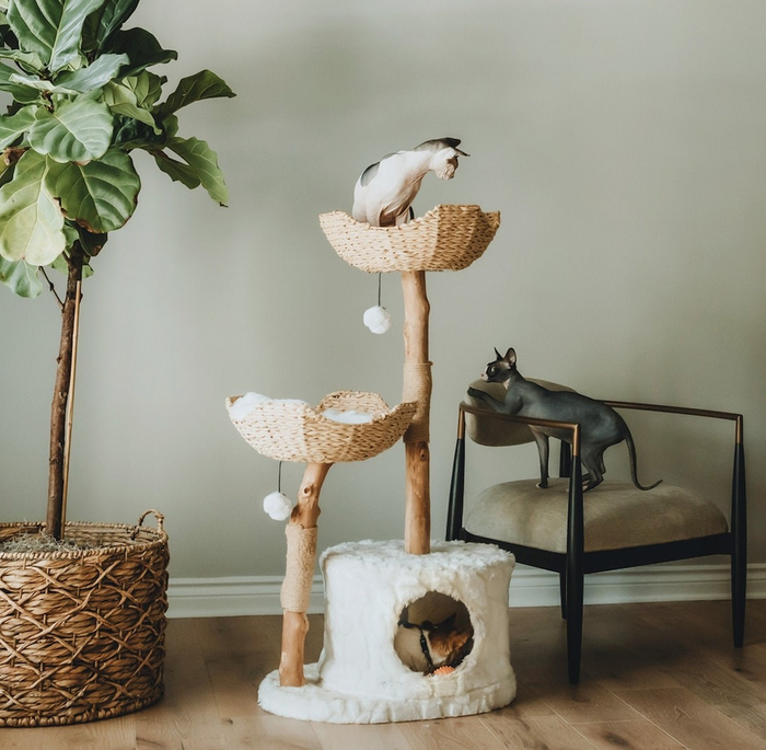 One cat sits on top of the cat tree, another rests at the bottom, with a third cat nearby.