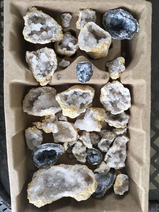 A tray filled with sparkling geodes waiting to be cracked open