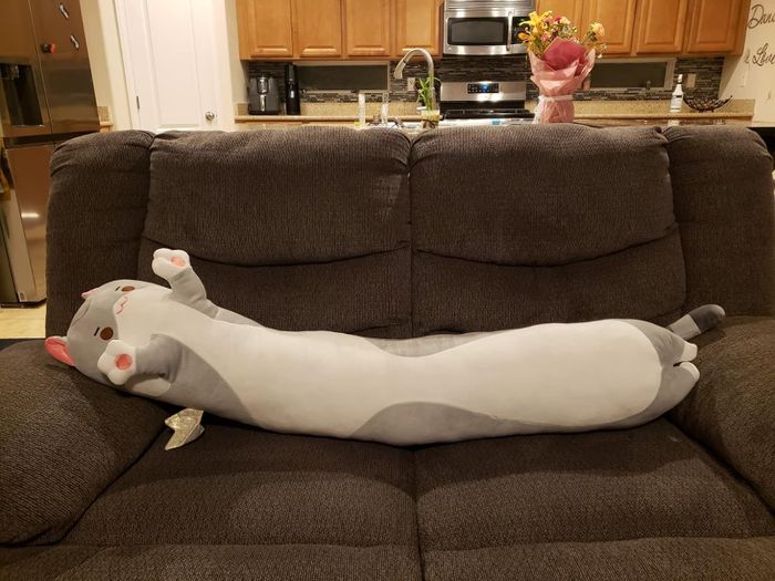 A reviewer’s photo showing a 53-inch cat-shaped plushie lounging across a couch