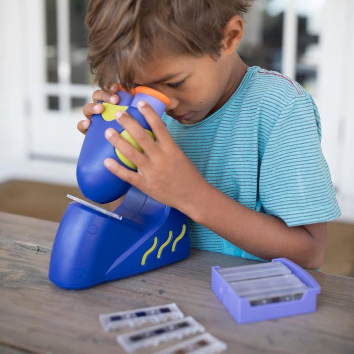 A child examining slides with a toy microscope on a wooden table, with additional microscope slides nearby, reflecting a science-themed shopping article
