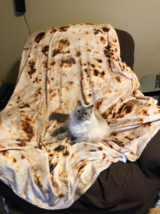 A photo from a reviewer showing the burrito blanket draped across a chair with a cat lounging comfortably on top.