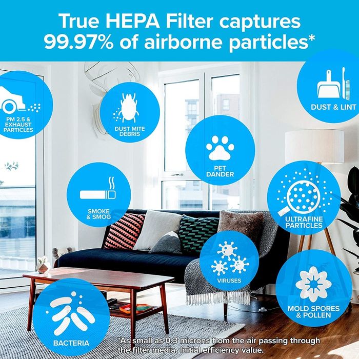 A graphic illustrating all the allergens and particles the HEPA filter can trap.