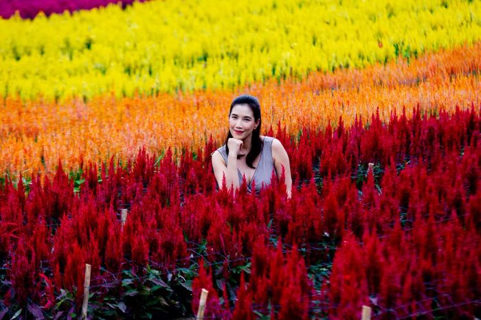 เพลิดเพลินไปกับการเที่ยวเชียงใหม่และชมสวนดอกไม้ในแม่ริมที่สวยงามสุดสายตา
