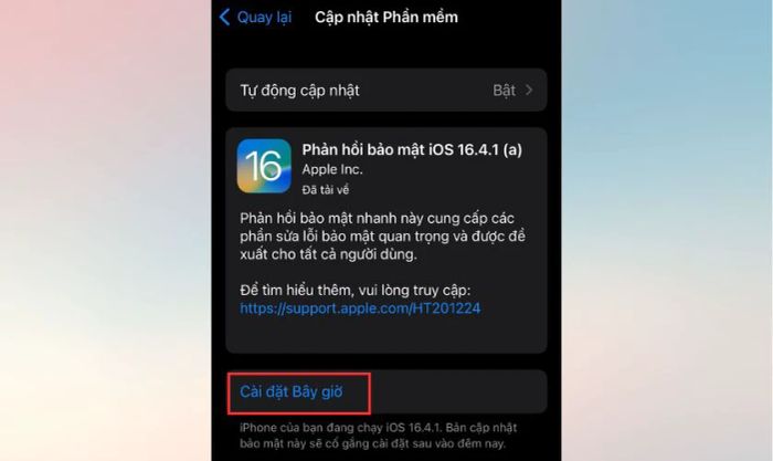 Chọn Cài đặt ngay để tiến hành cập nhật