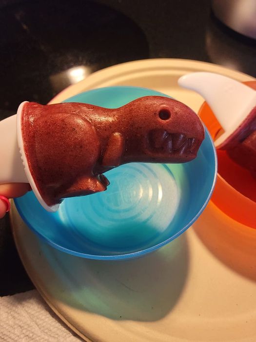 a reviewer’s photo of a homemade dinosaur popsicle