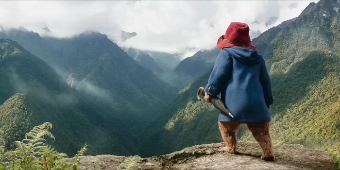 Paddington: Gấu Thủ Chu Du đến Peru, xuyên qua những cánh rừng và khám phá các di tích cổ xưa
