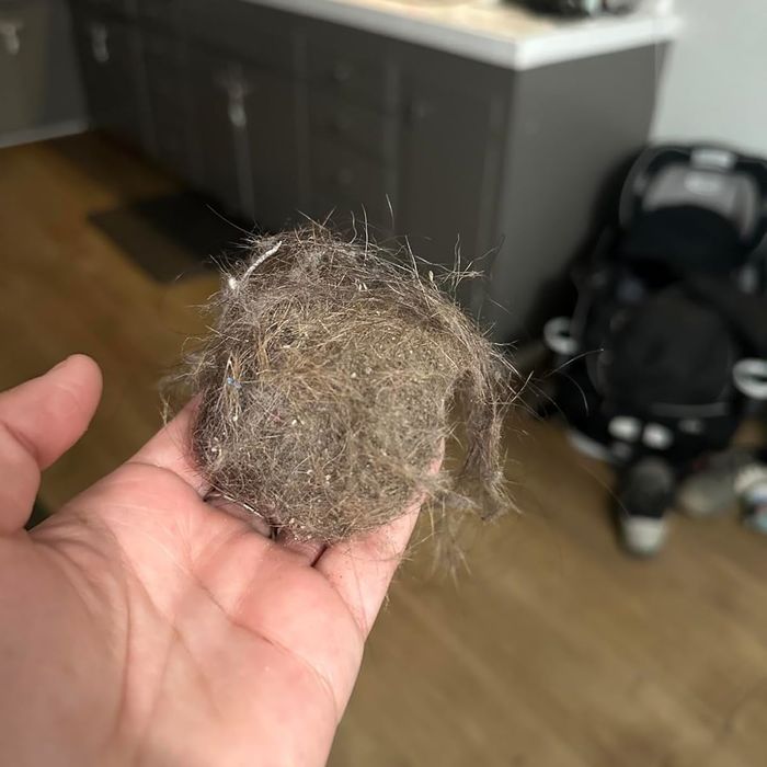 A hand holds a clump of dust and hair, with a kitchen background visible.
