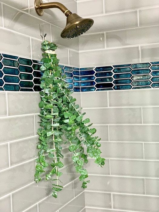 Photo of eucalyptus bundles elegantly hanging in a shower