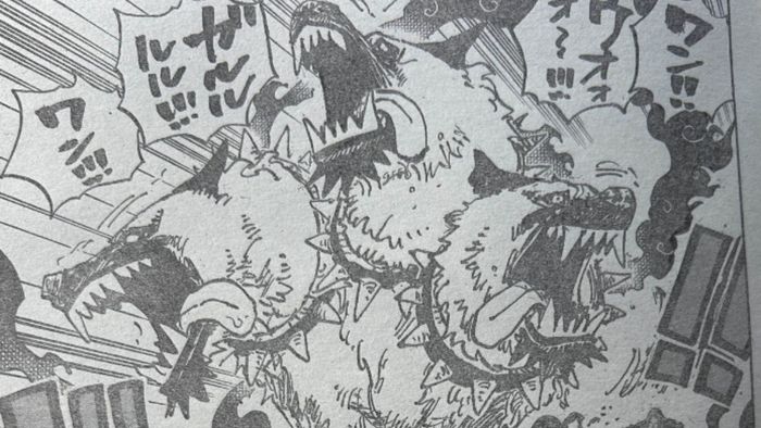 tin đồn one piece