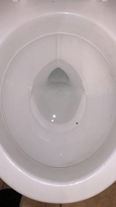 A reviewer photo of the same toilet now spotless and clean