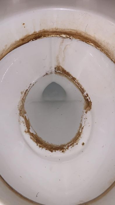 A reviewer photo showing a toilet with dark rings
