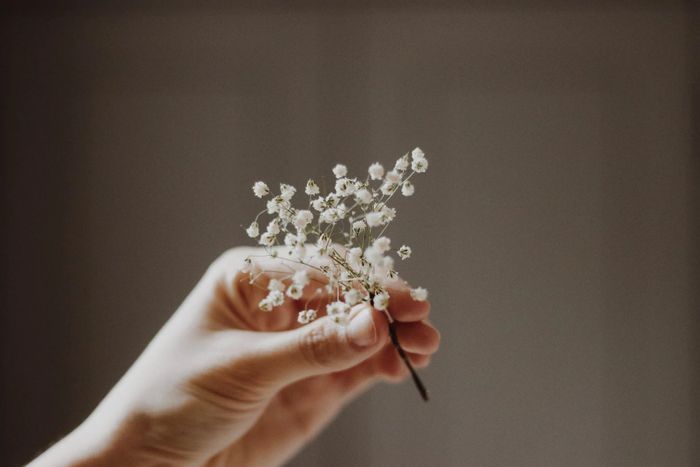 A hand delicately holding one of the elegant baby's breath hair pins.