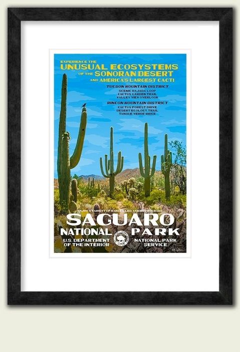 A vintage-style poster of Saguaro National Park featuring cacti and mountains, framed in black