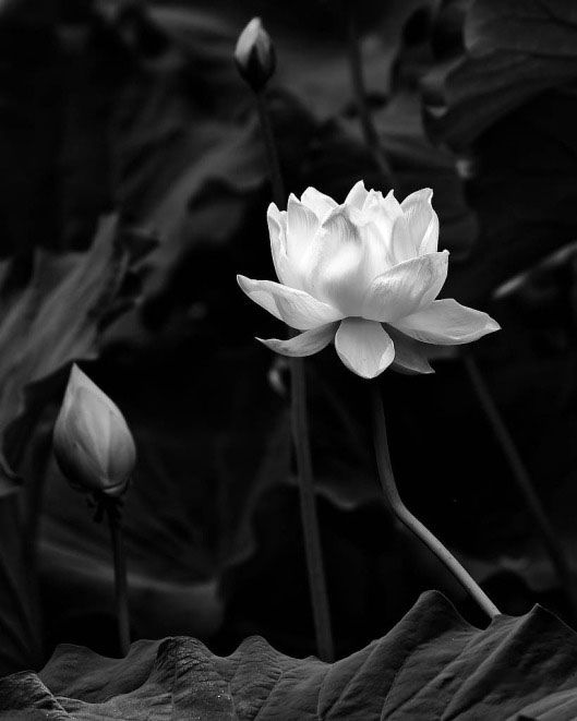 A room interior featuring a wall sign that reads "Zig A Zig Ah" and a door under a "Launderette" sign