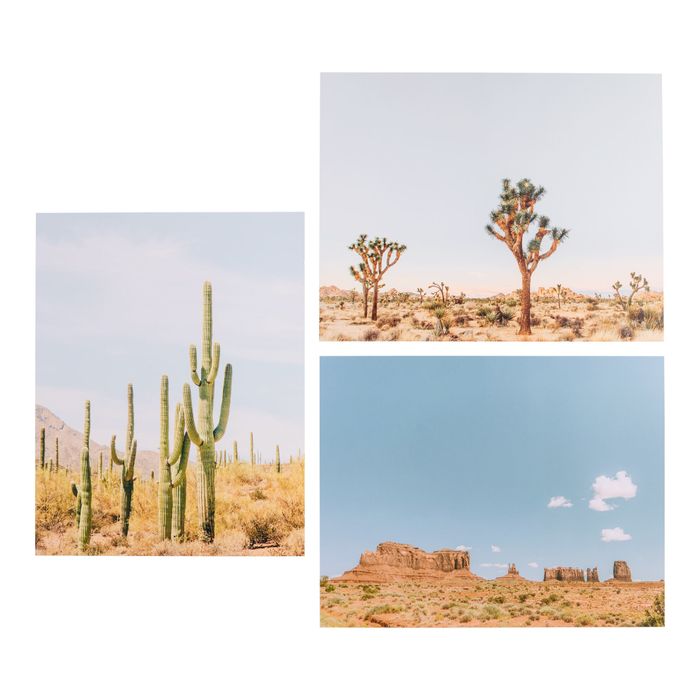 Three desert landscape photos featuring cacti and Joshua trees, ideal for adding a southwestern flair to home decor