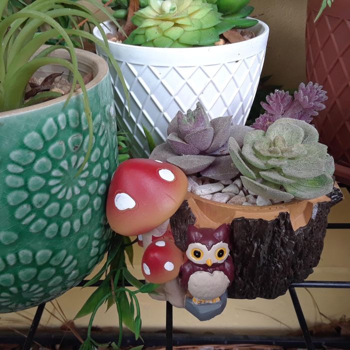 succulent planter featuring an owl and mushrooms